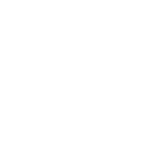 SKULLBUS